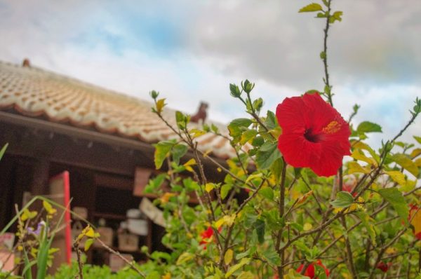 沖縄旅行&コンパニオン宴会